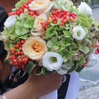 FBFiori